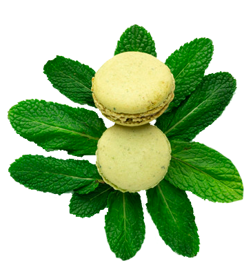 macarons-verdes-caseros_58460-5353